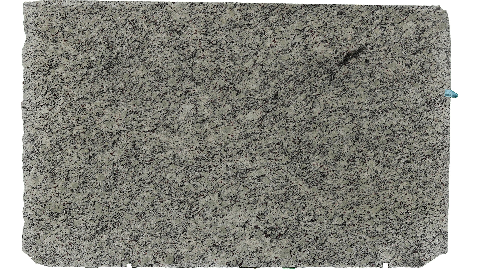 White Primata Granite Slabs