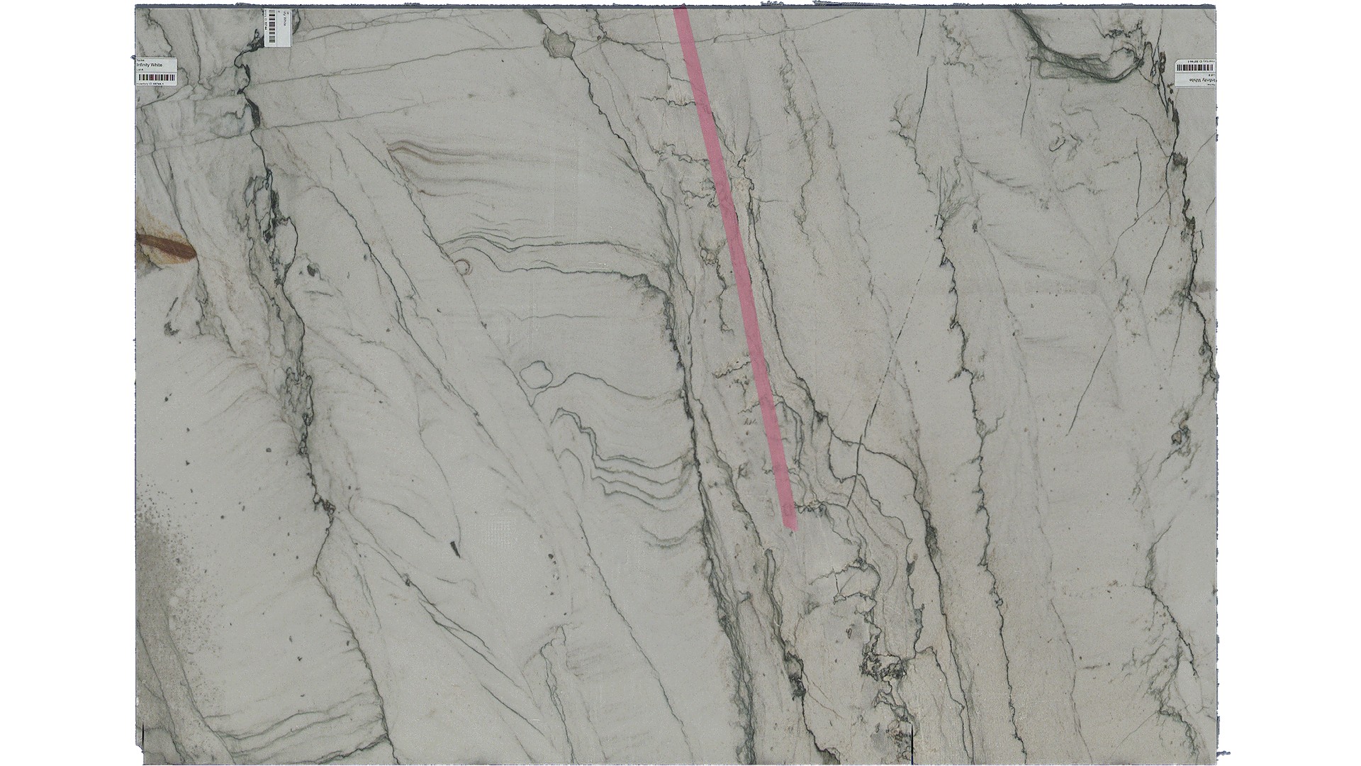 Infinity White Quartzite Slabs