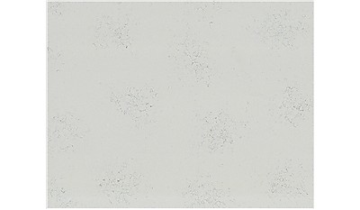 Carrara Marmi Q Quartz