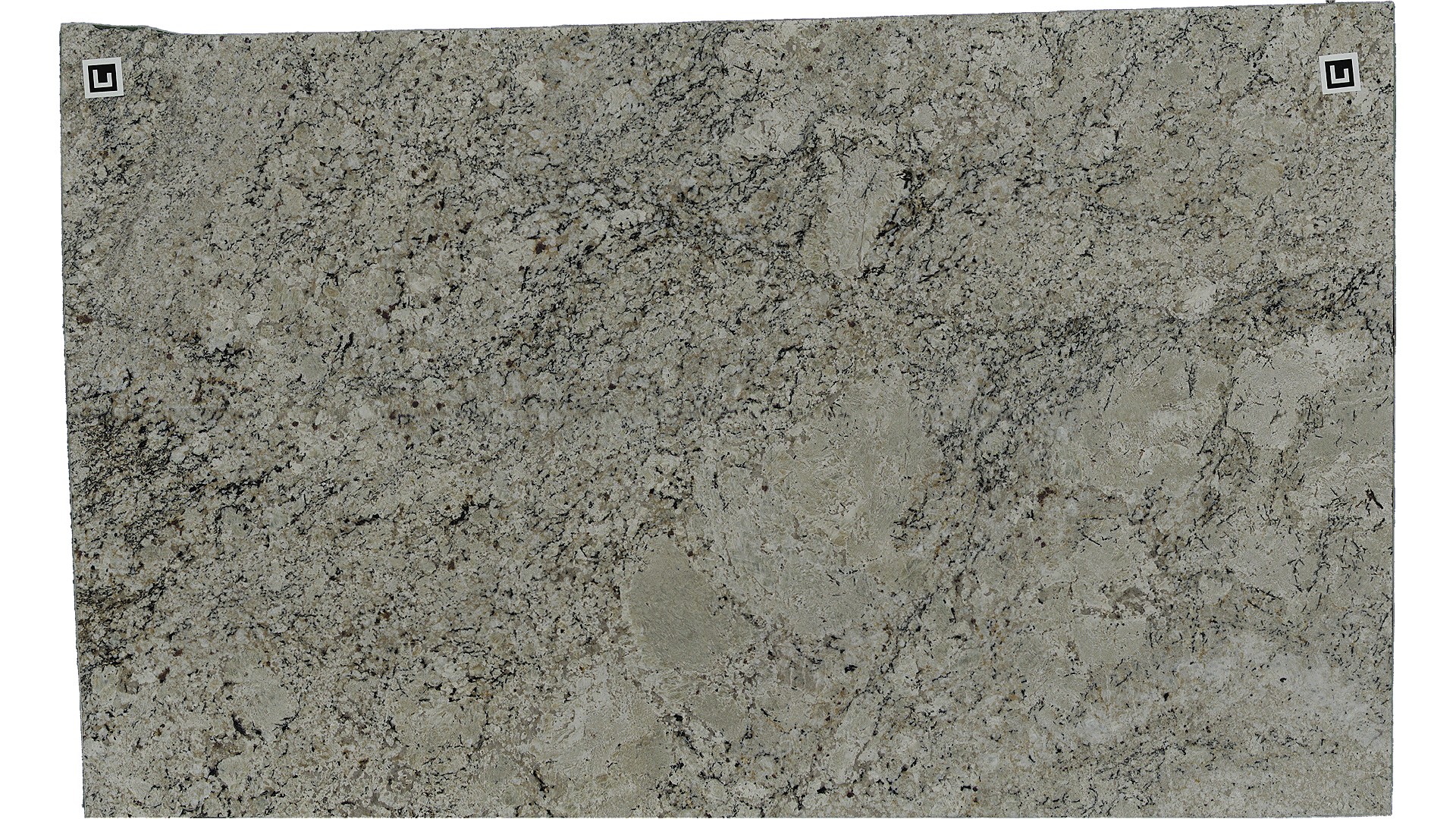 Snow Fall Granite Slabs