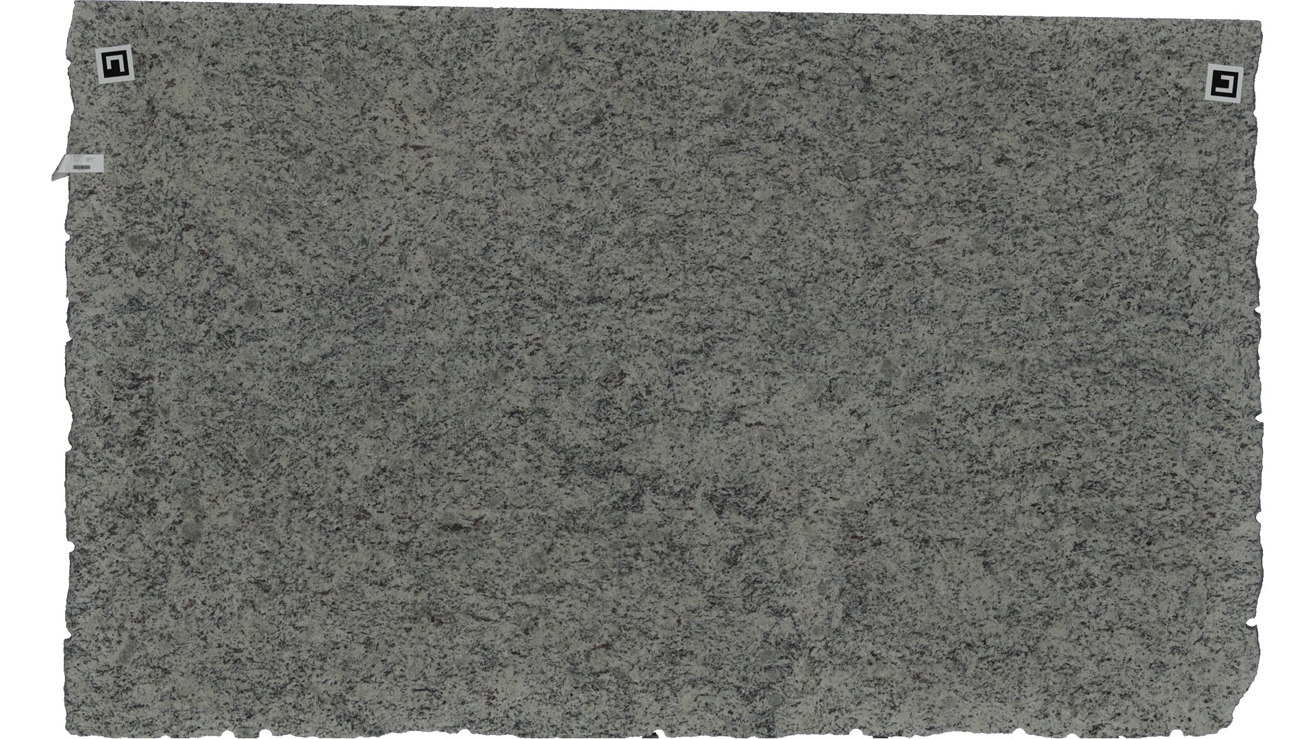 White Dallas Granite Slabs