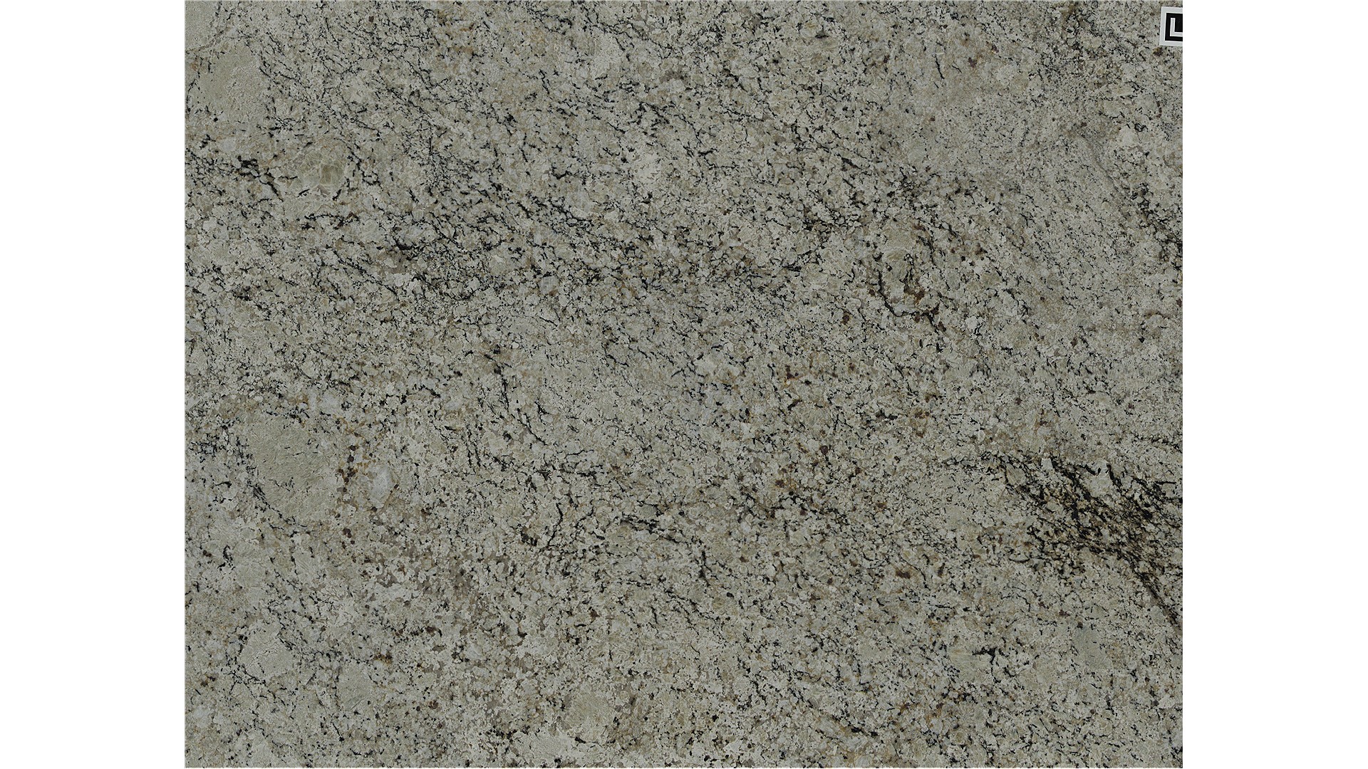 Snow Fall Granite Slabs