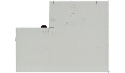 Snow White Q Quartz