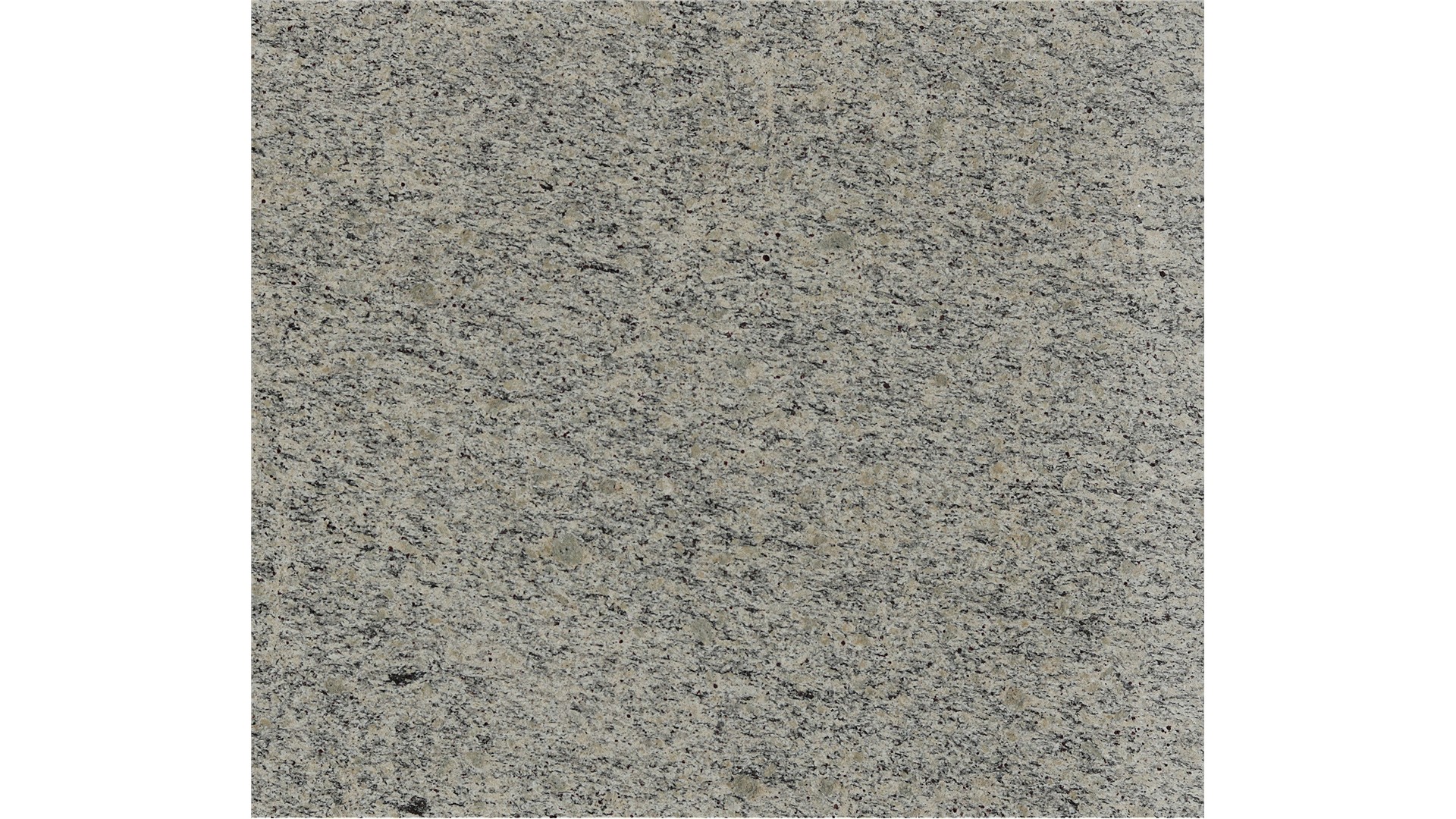 Crema Brazil Granite Slabs