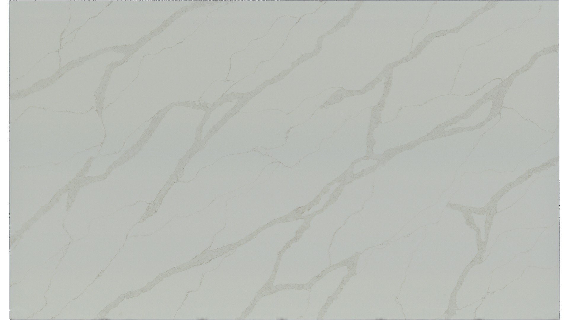 Calacatta Elysio Q Quartz Slabs