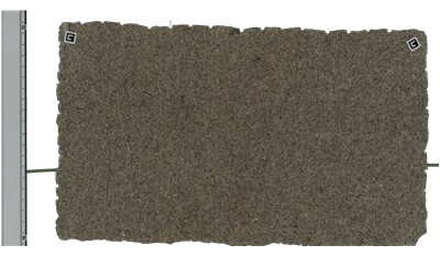 New Venetian Gold Granite