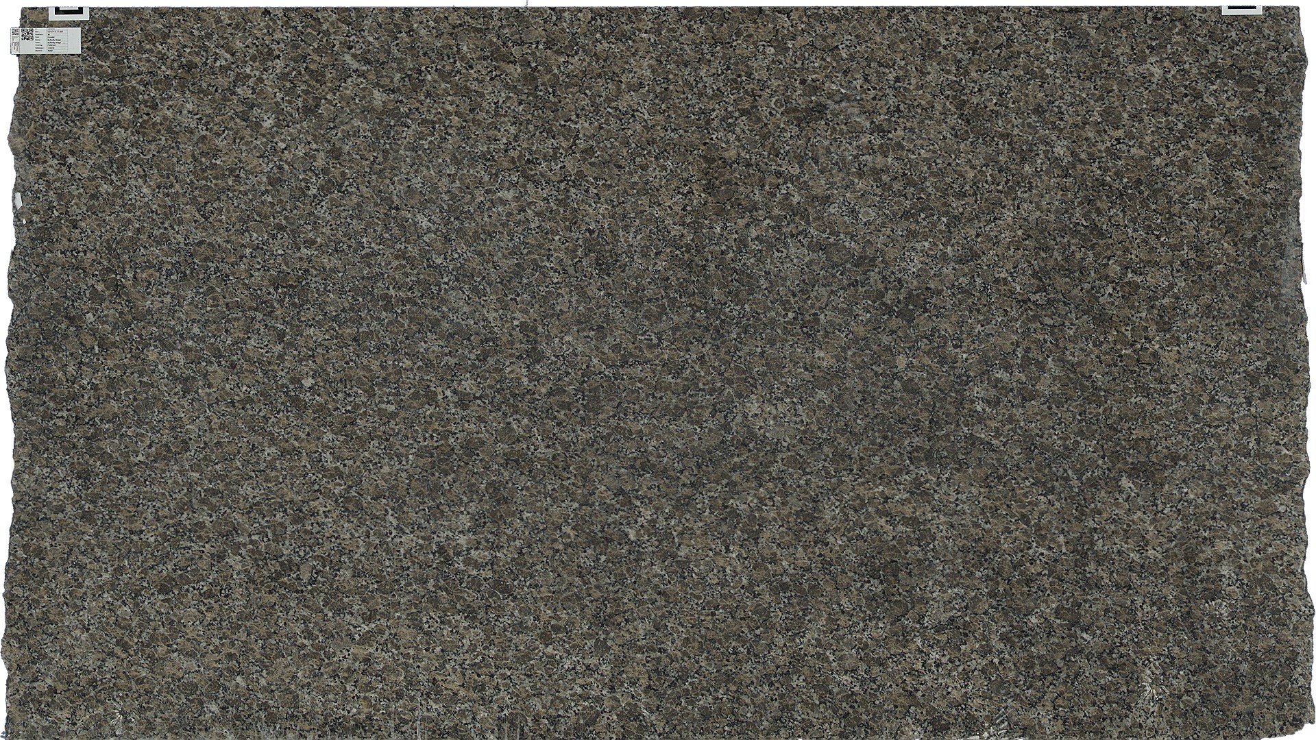 Butterfly Beige Granite Slabs