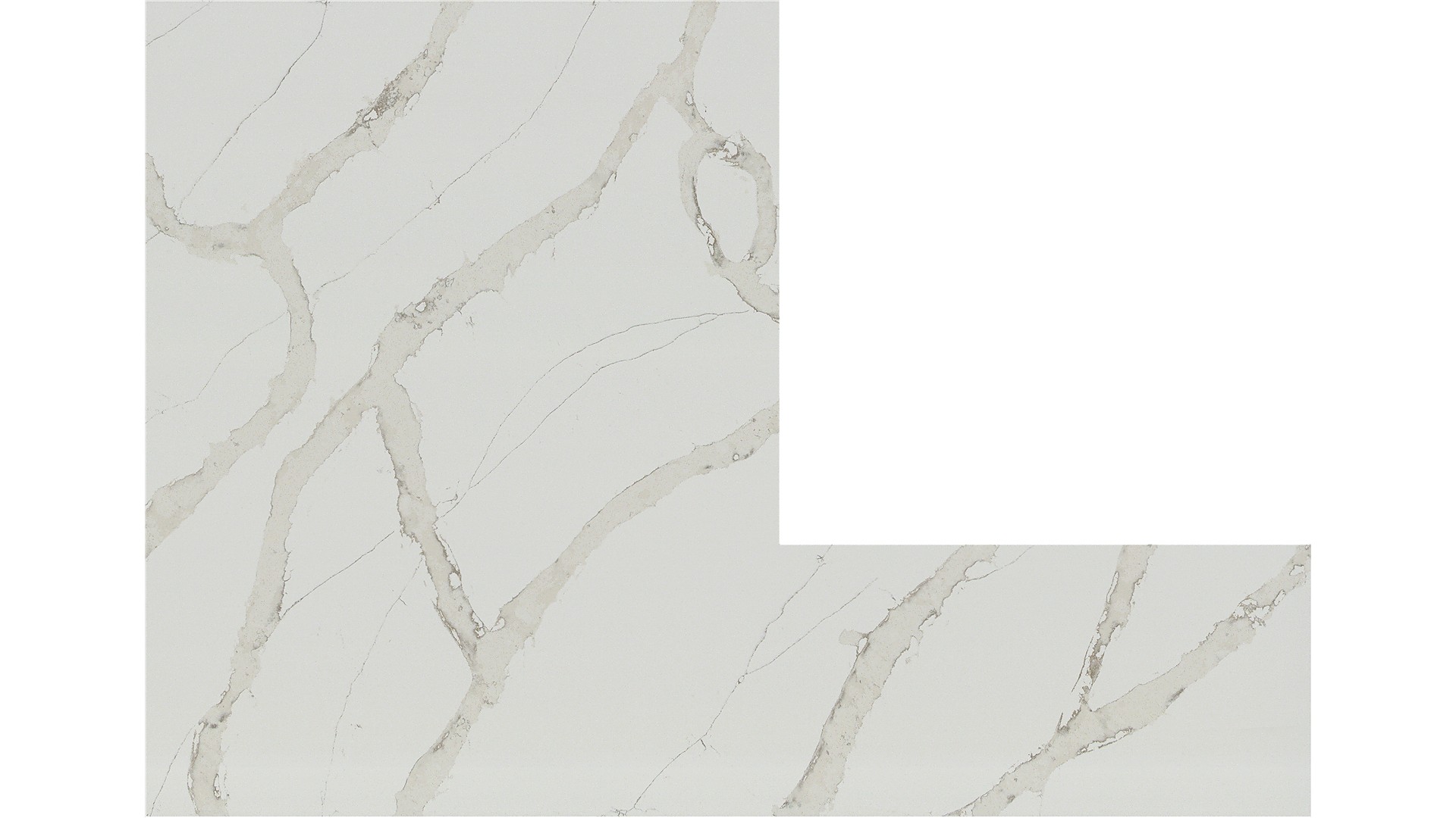 calacatta goa Q Quartz Slabs