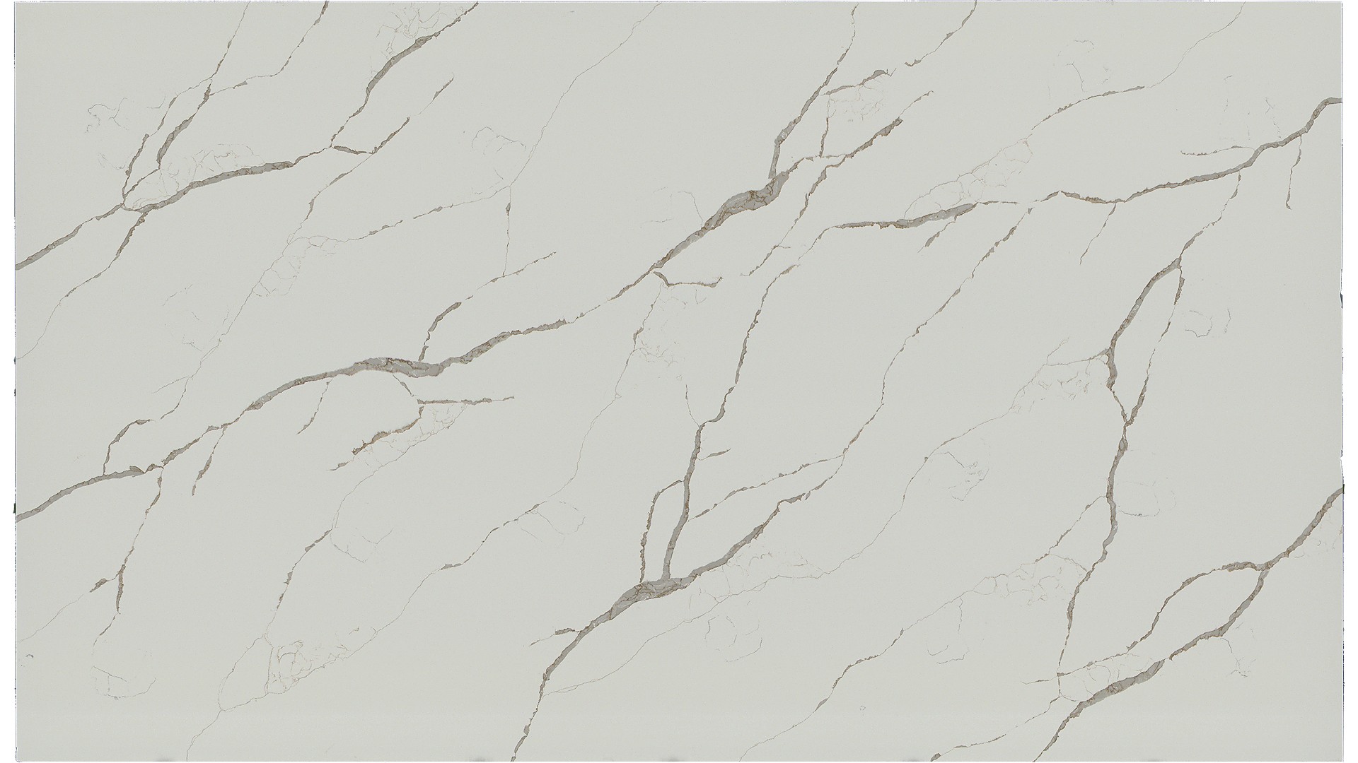 Calacatta Laza Oro Q Quartz Slabs