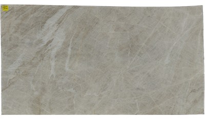 Taj Mahal Premium Quartzite