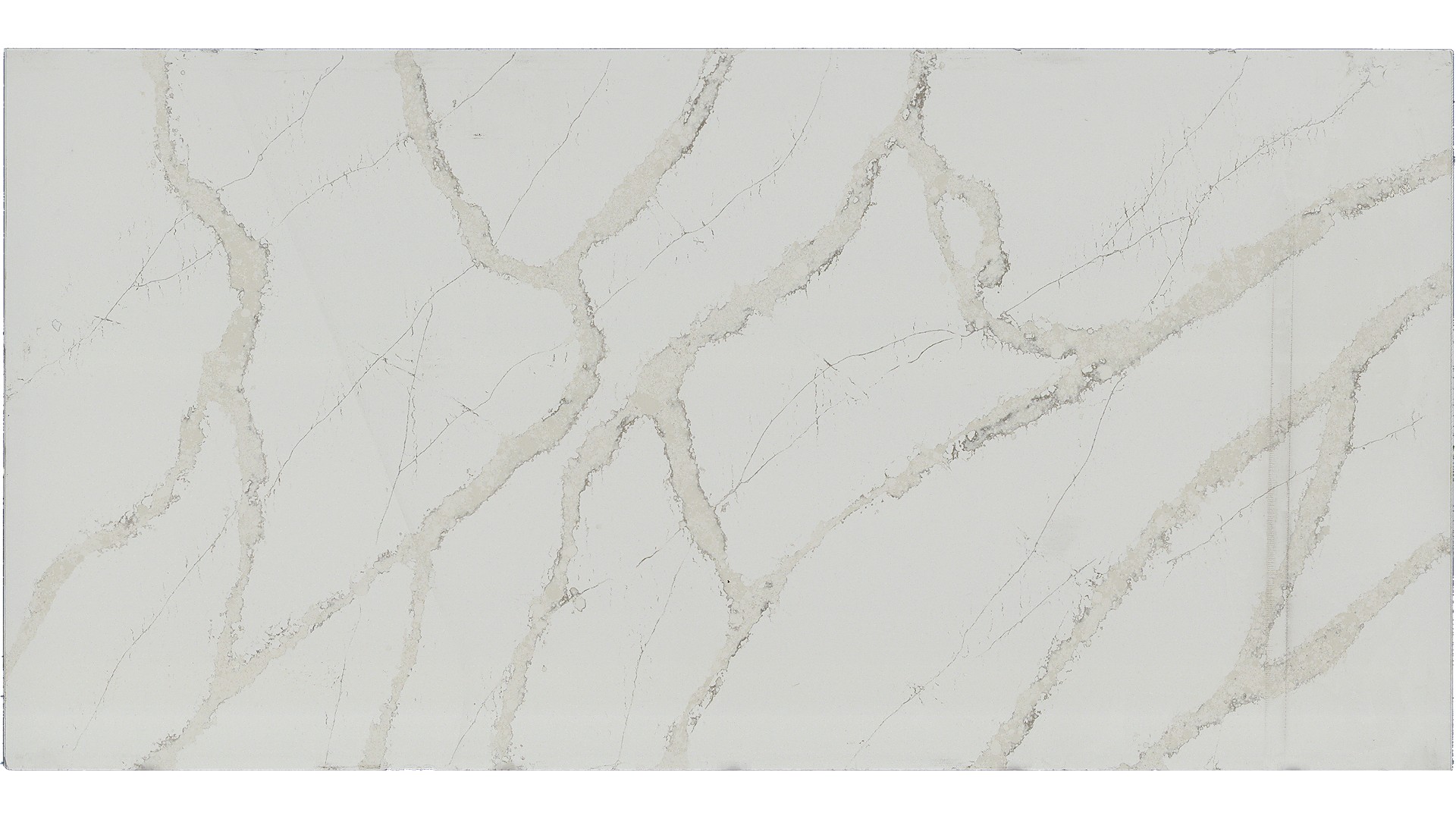 calacatta goa Q Quartz Slabs