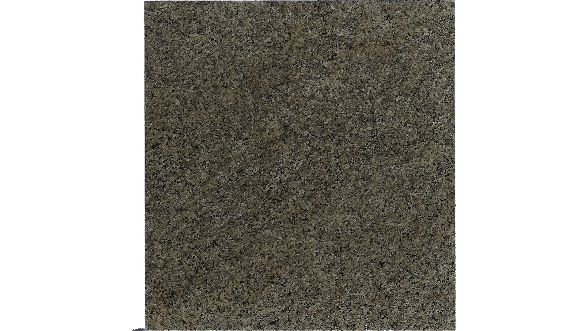 Butterfly Beige Granite Slabs