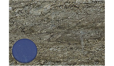 Tiger Dunes Granite