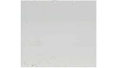 Arctic White Q Quartz
