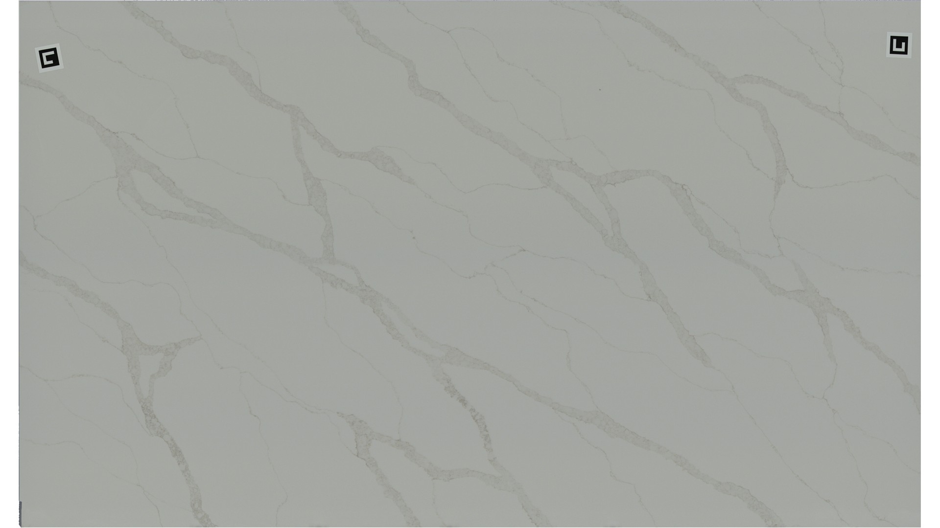 Calacatta Elysio Q Quartz Slabs