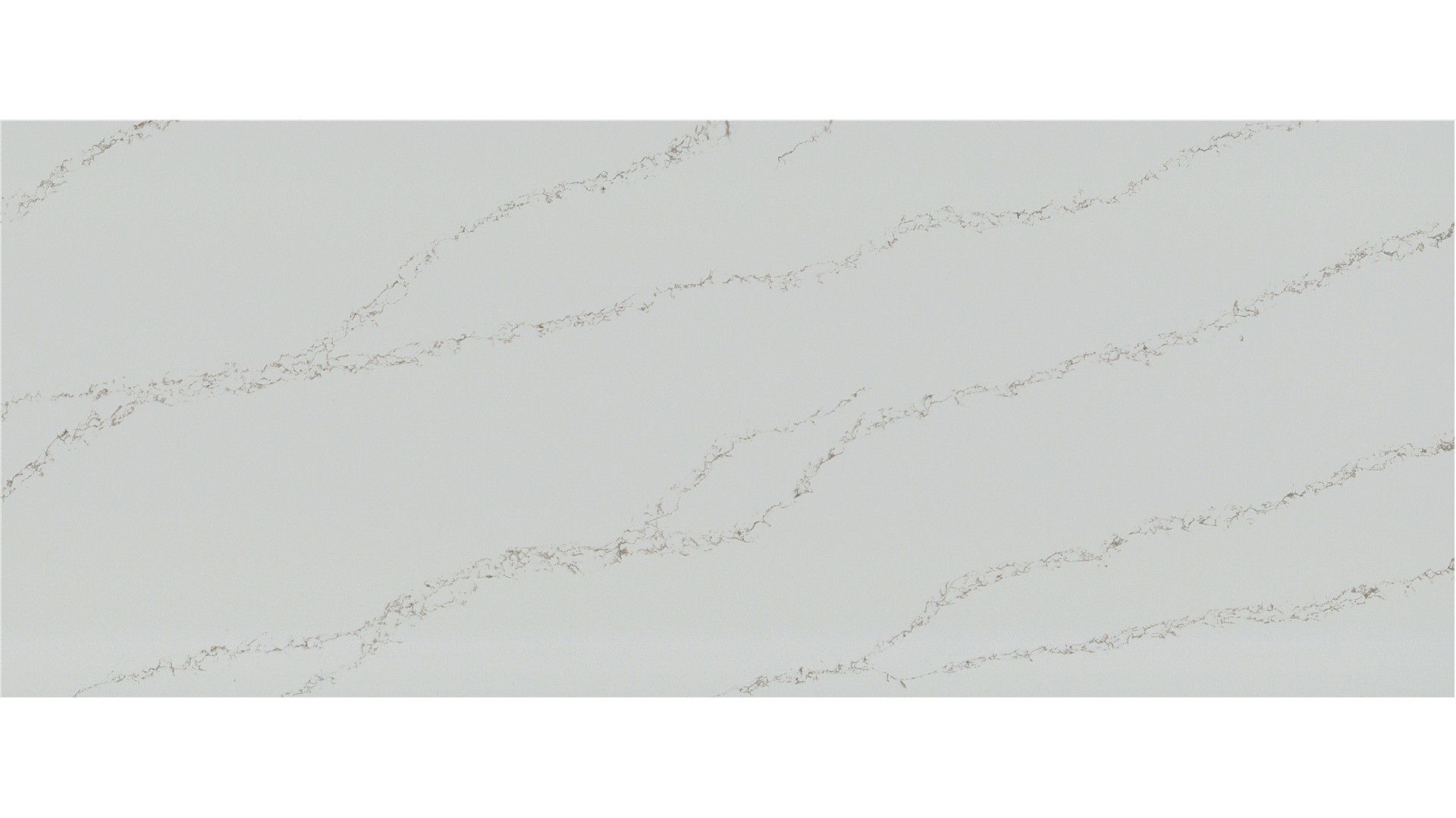 Calacatta Arno Q Quartz Slabs