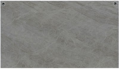 Taj Mahal PQ Printed Quartz