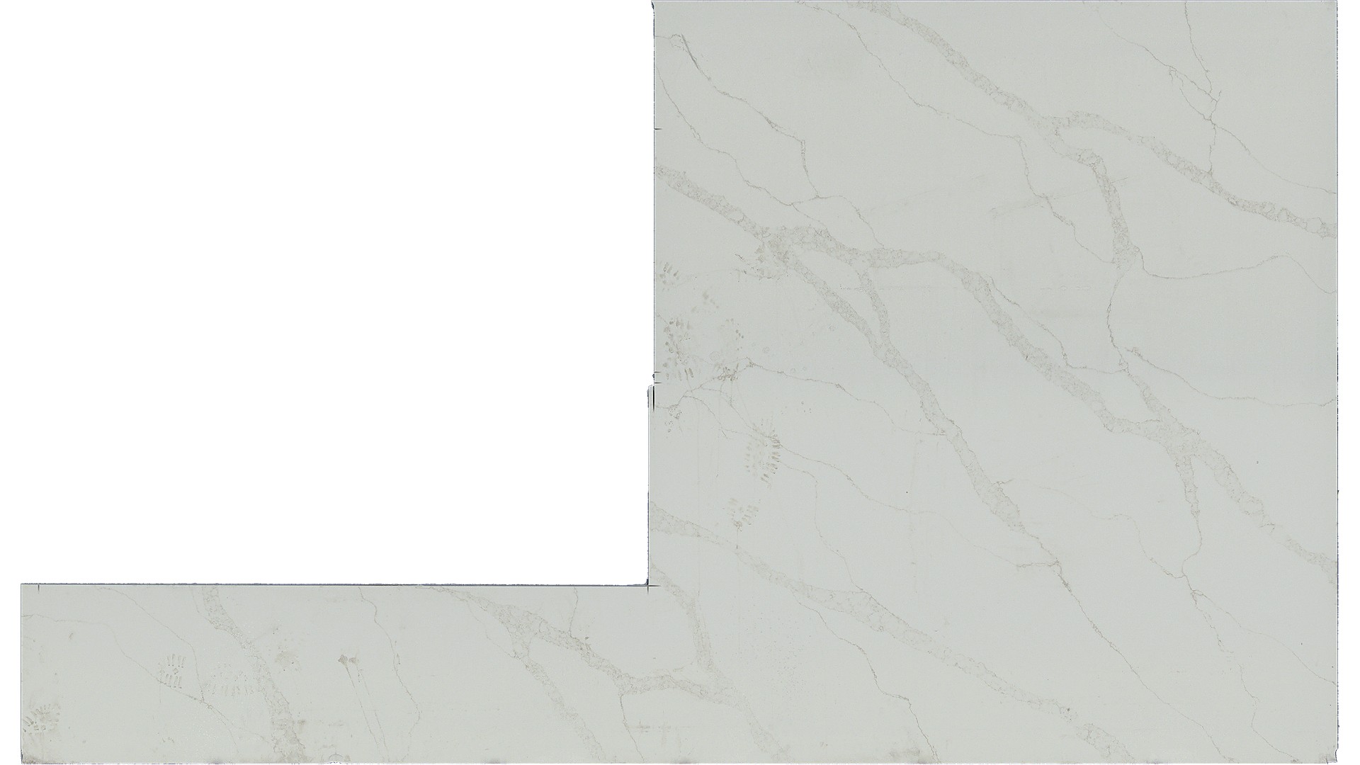 Calacatta Elysio Q Quartz Slabs