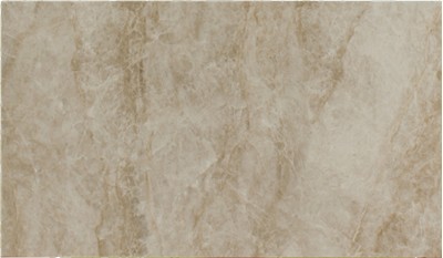 Taga Compact Surface