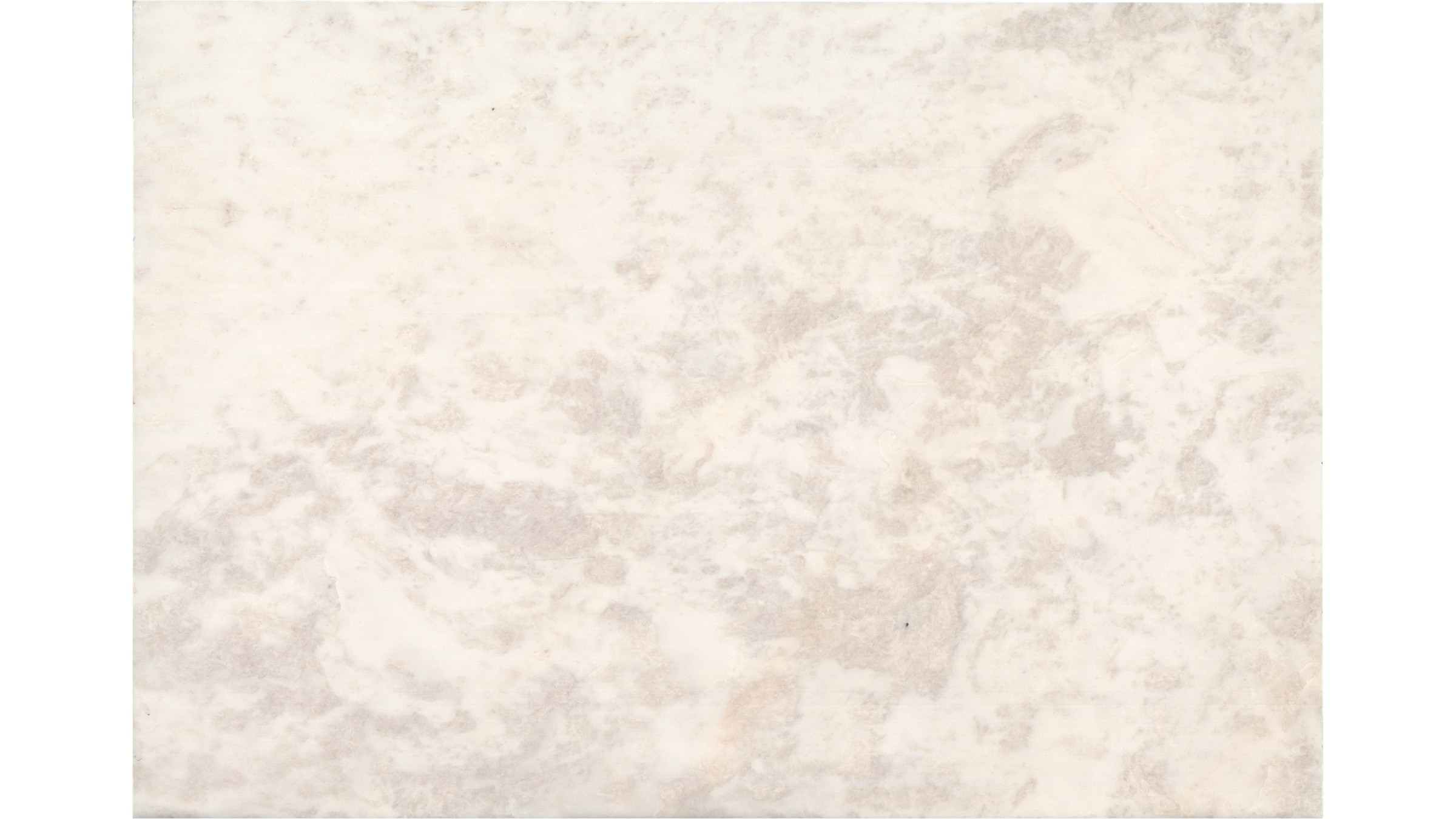 Bianco Rhino Marble Slabs