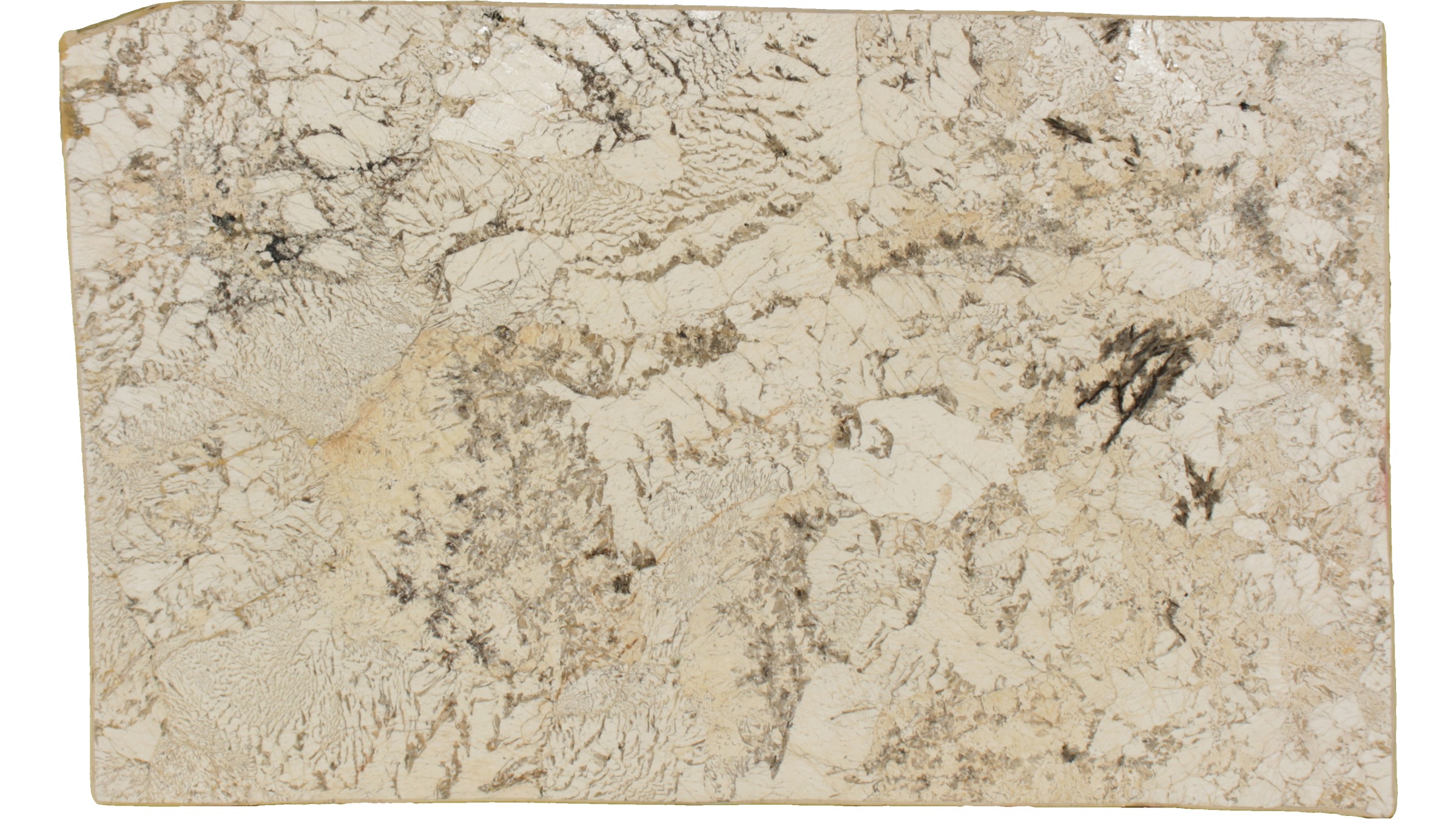 Alpine White Granite Slabs
