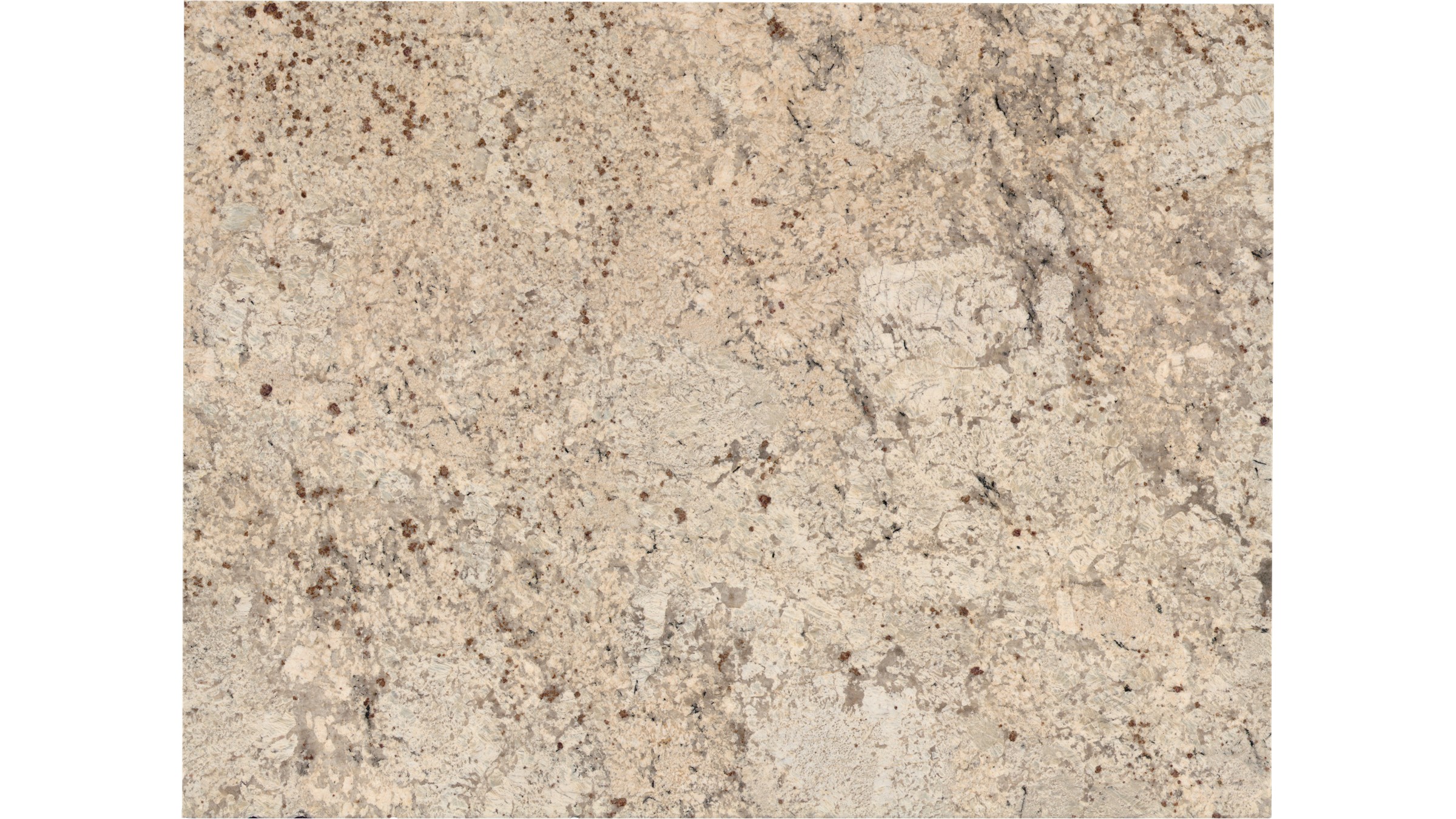 Snow Fall Granite Slabs