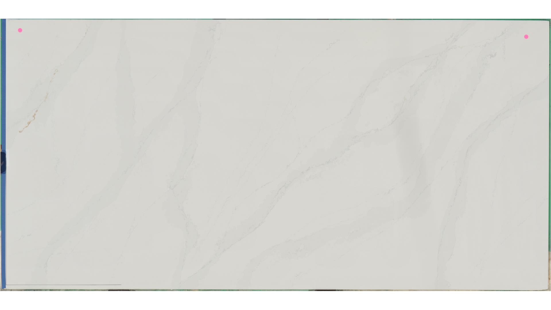 Eternal Calacatta Gold | J Silestone Quartz Slabs