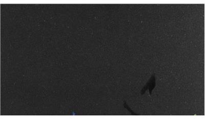 Black Pearl Leathered Granite