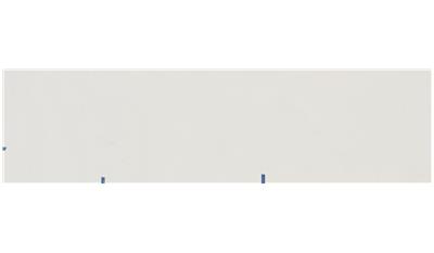 Palm Shade Honed | 515 Caesarstone Quartz