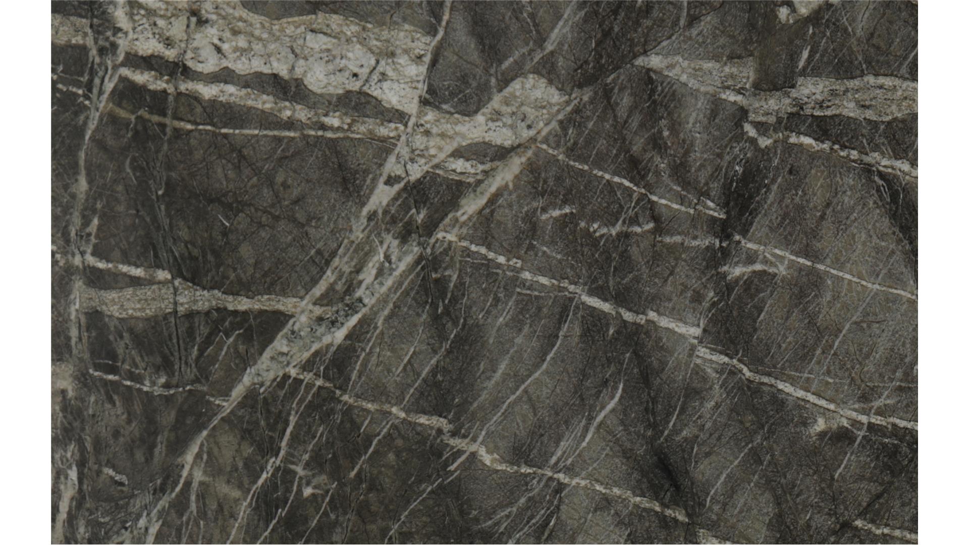 Forest Shadow Quartzite Slabs