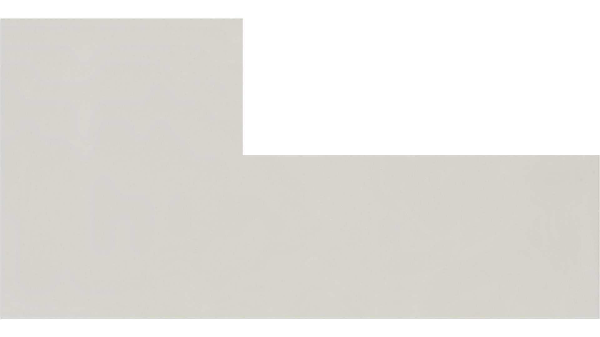 Organic White | 4600 Caesarstone Quartz Slabs