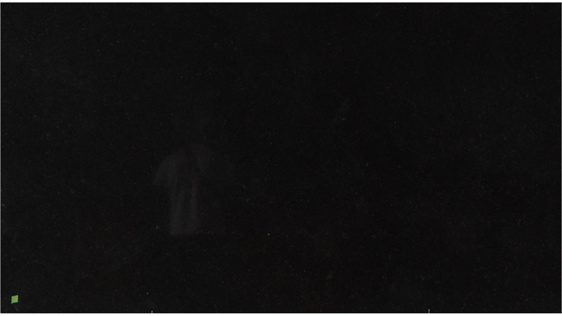 Black Pearl Granite Slabs