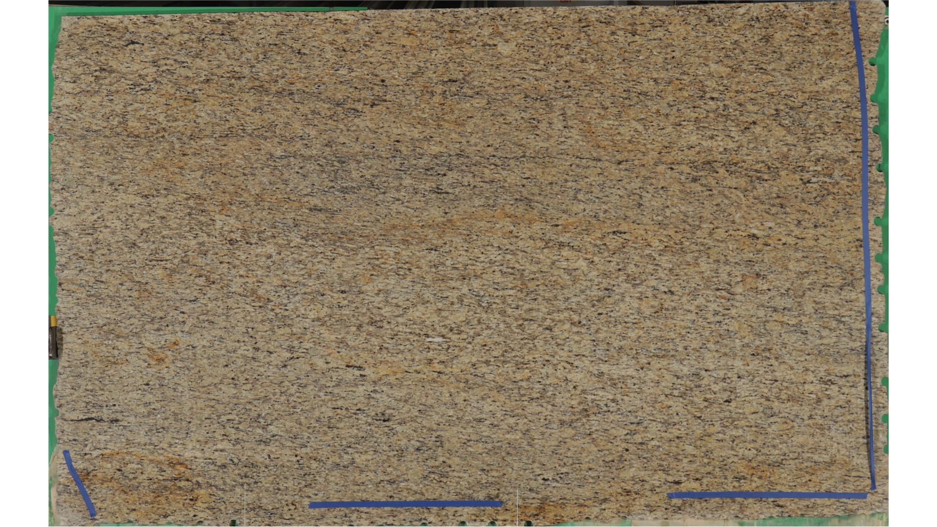 Giallo Ornamental Granite Slabs