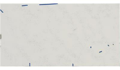 Ashen Gray Leathered Corian Quartz