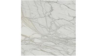 Calacatta Gold Honed Marble