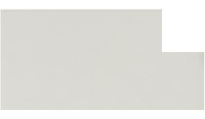 Organic White | 4600 Caesarstone Quartz