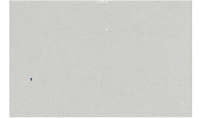 Stellar Blanco13 (Snow) | J Silestone Quartz