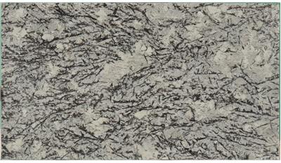 Delicatus White Granite