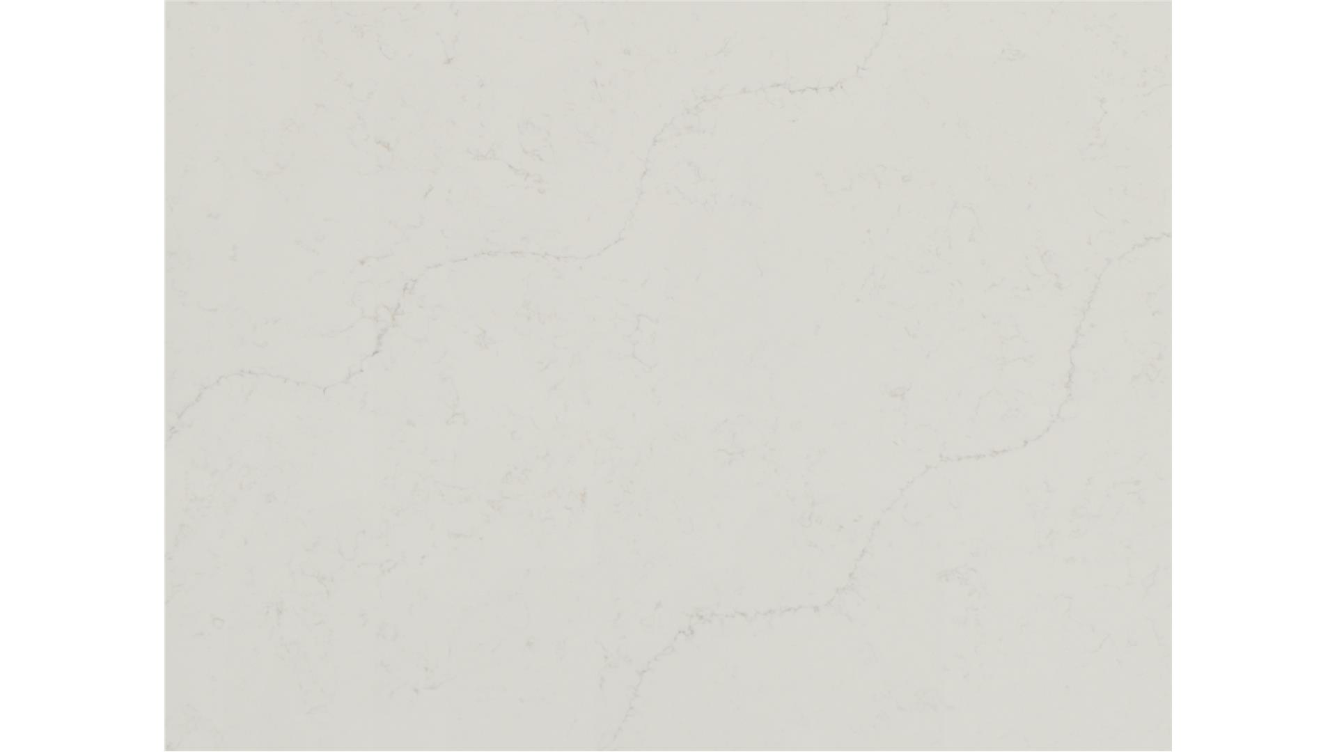 Calacatta Lavasa Q-Quartz Slabs