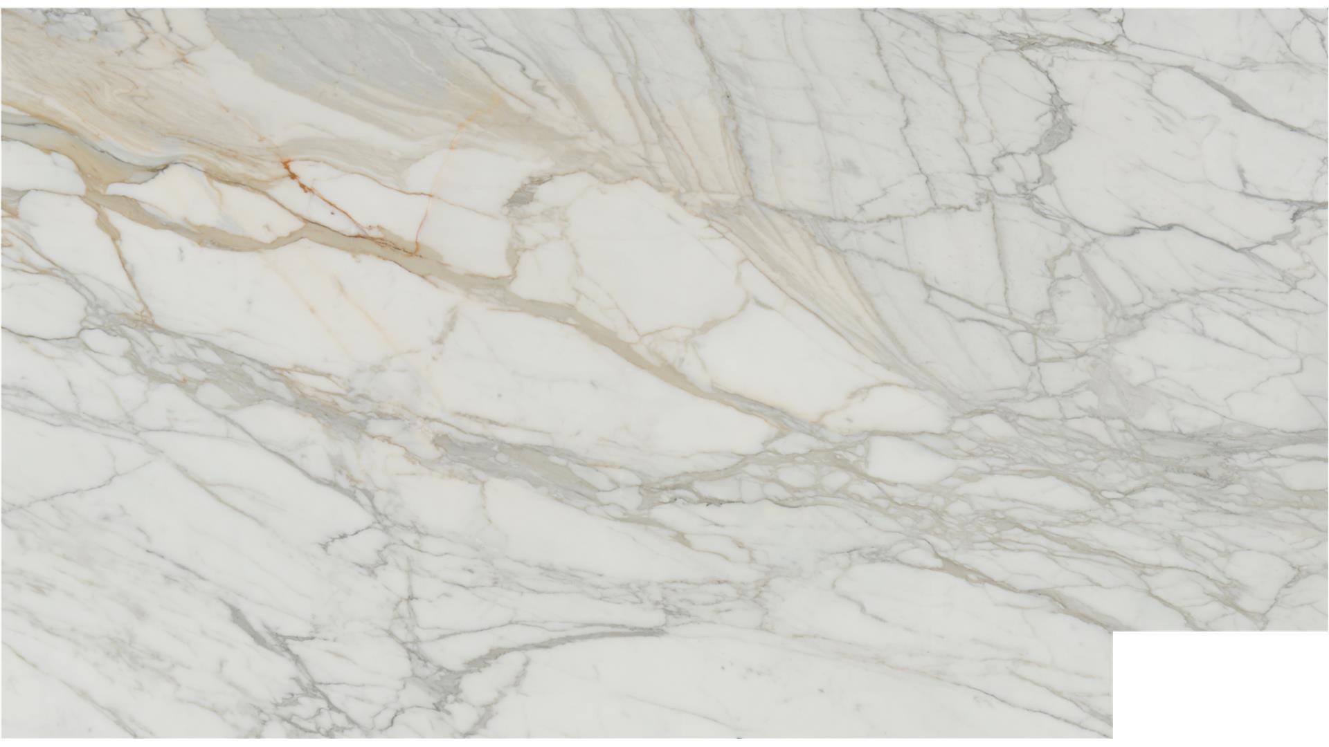 Calacatta Gold Marble Slabs