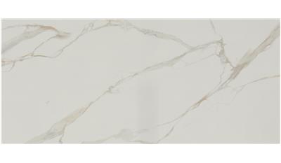 Calacatta Oro A-B BM Polished Infinity