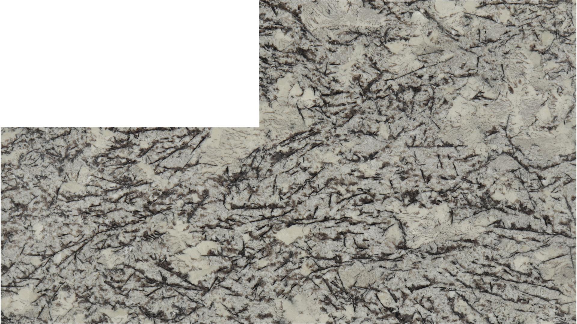 Delicatus White Granite Slabs