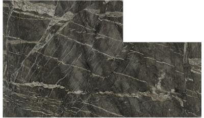 Forest Shadow Quartzite