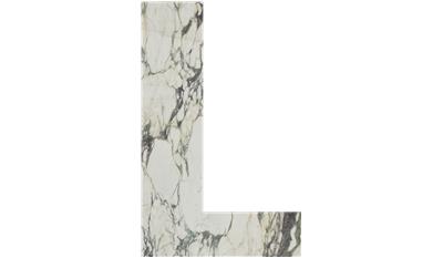 Calacatta monet Marble