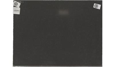 Coastal Grey PentalQuartz