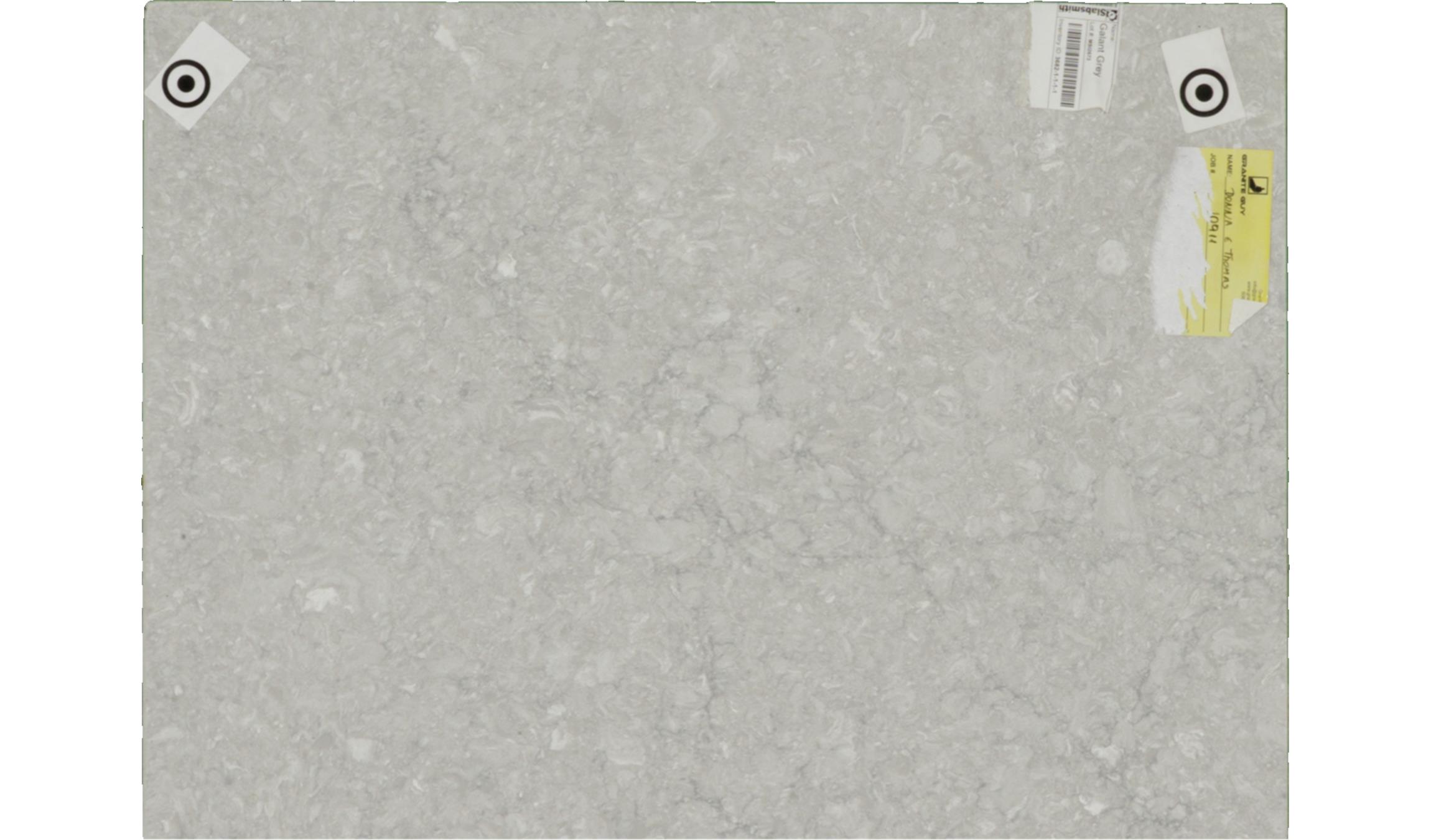 Galant Grey Q-msi Slabs