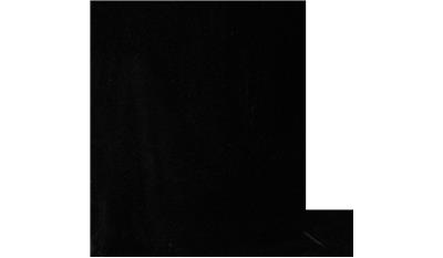 Absolute Black Dual Granite