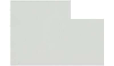 Wicked White GMD Quartz