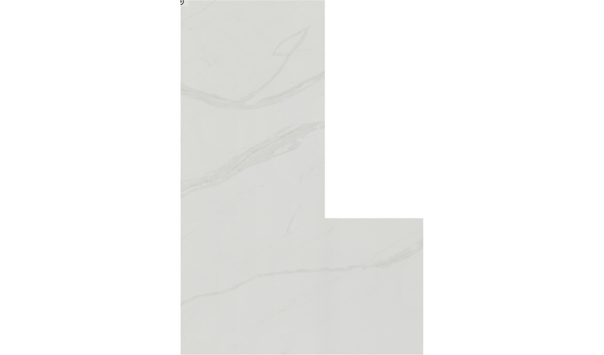 Silverlight SJ Quartz Slabs