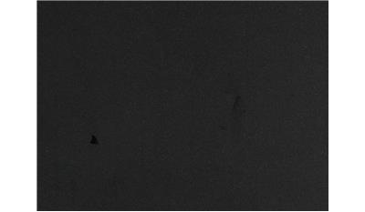 Absolute Black Dual Granite